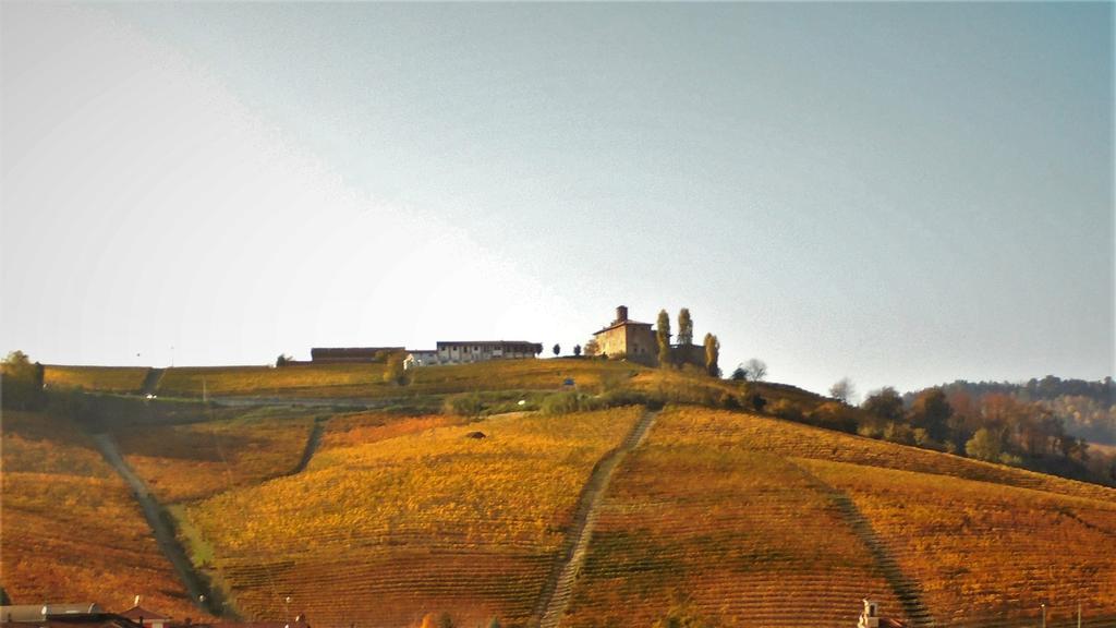 Vila Agriturismo La Terrazza Sul Bosco Barolo Exteriér fotografie